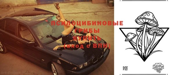 соль ск Алзамай