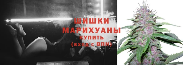 соль ск Алзамай