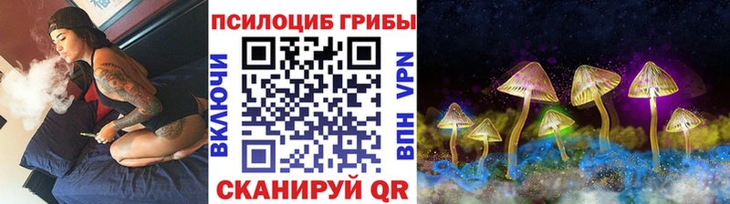 Псилоцибиновые грибы GOLDEN TEACHER  купить наркотики цена  Дюртюли 