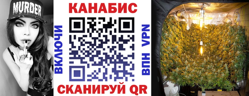 хочу наркоту  Дюртюли  Каннабис семена 